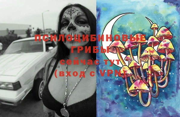 прущие грибы Абдулино