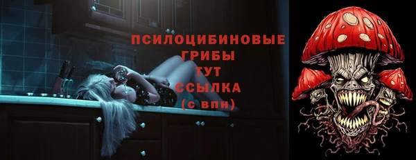 ешки Абинск
