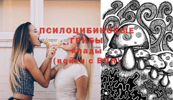 прущие грибы Абдулино