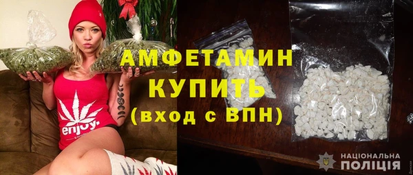 прущие грибы Абдулино