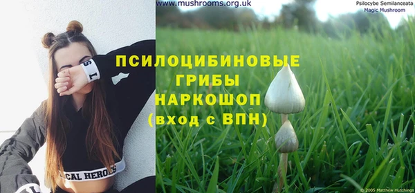 прущие грибы Абдулино